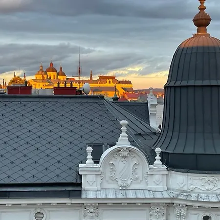 Proste Terezska Olomouc