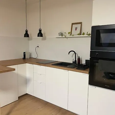 Proste Terezska 아파트 *