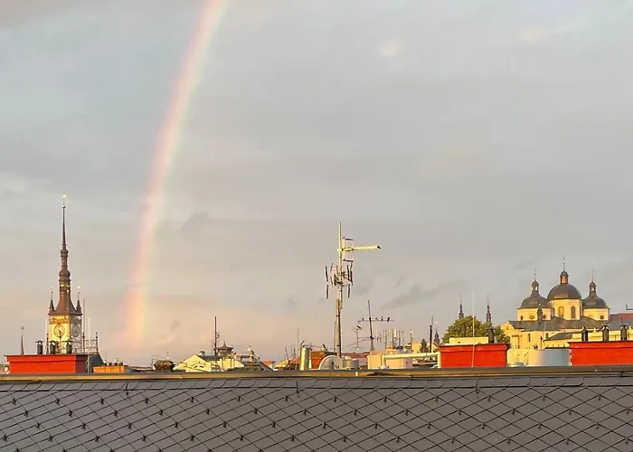Proste Terezska Olomouc